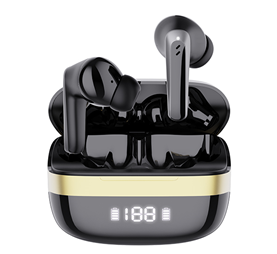 IT106